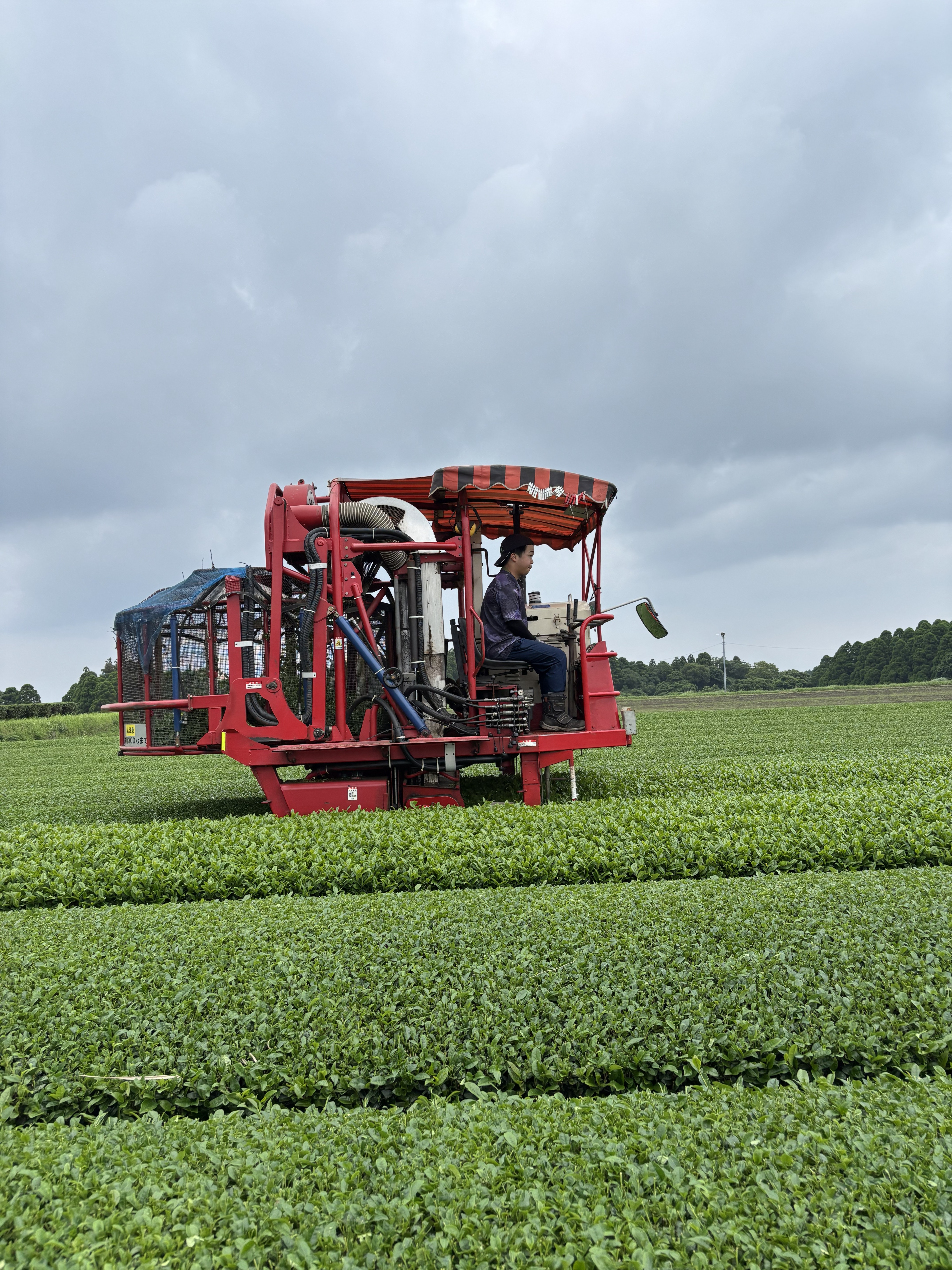 Harvesting